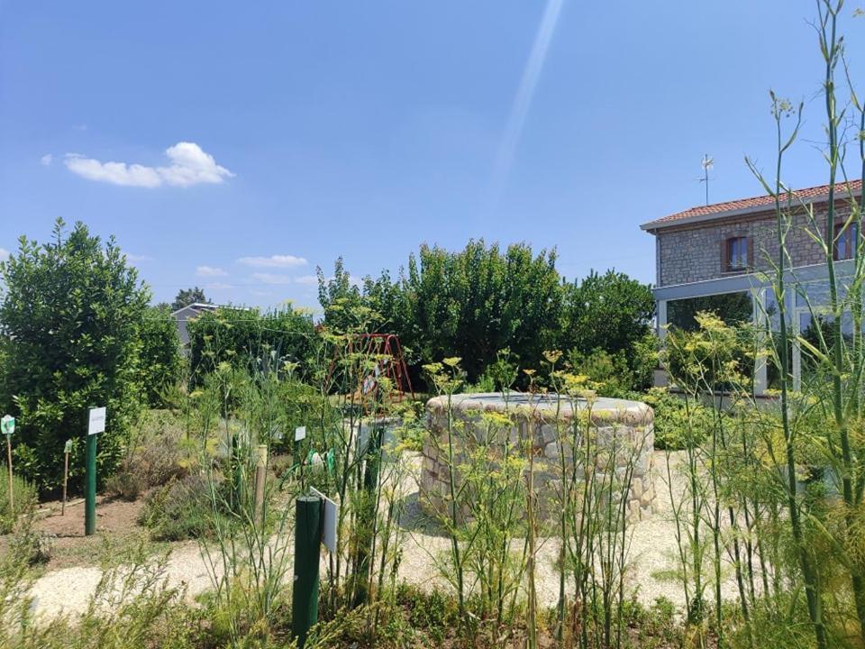Masseria Fontana Dei Fieri Pietrelcina Εξωτερικό φωτογραφία