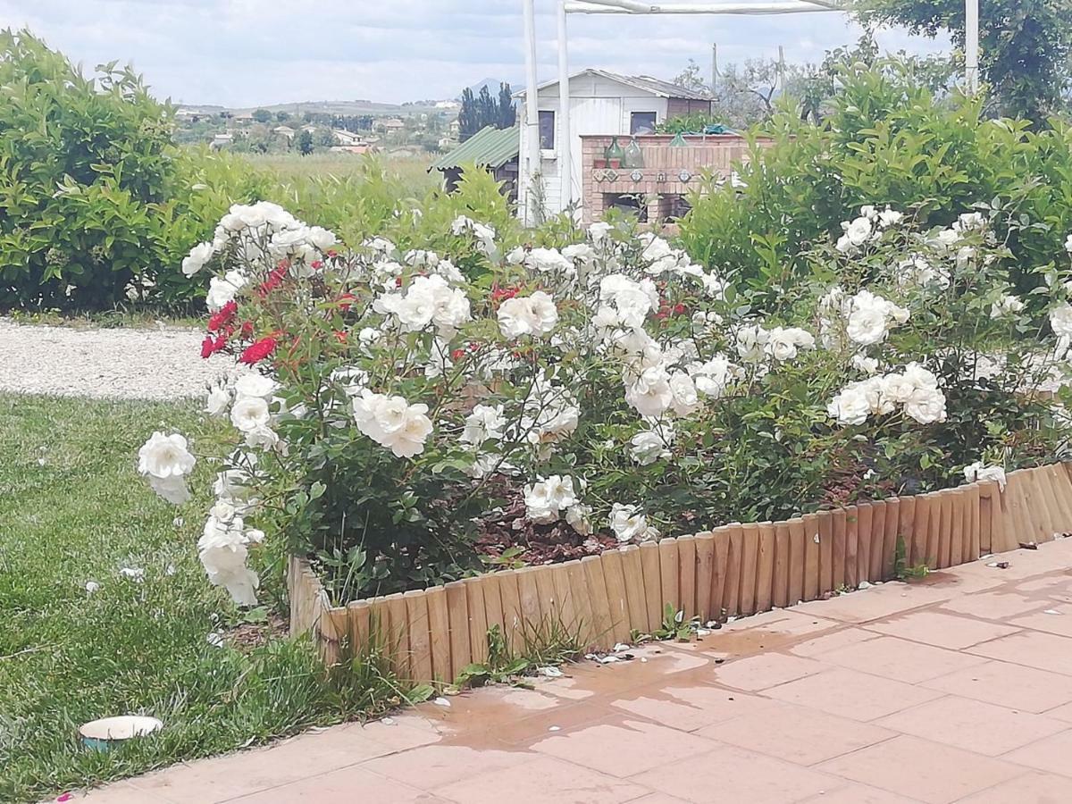 Masseria Fontana Dei Fieri Pietrelcina Εξωτερικό φωτογραφία